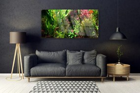 Obraz plexi Rastlina kvety príroda 120x60 cm