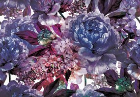 Fototapeta - Fialové kvety (152,5x104 cm)