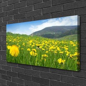 Obraz na plátne Púpava príroda 120x60 cm