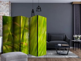 Artgeist Paraván - bamboo - nature zen [Room Dividers]