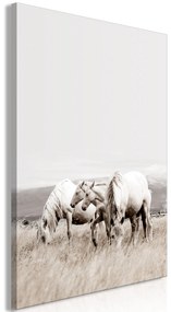 Artgeist Obraz - White Horses (1 Part) Vertical Veľkosť: 60x90, Verzia: Na talianskom plátne