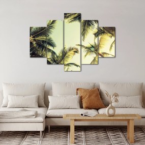 Obraz s kokosovými palmami (150x105 cm)