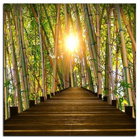 Obraz na plátne - Drevená promenáda v bambusovom lese - štvorec 3172A (80x80 cm)
