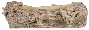 Betonový obal - truhlík, drevo s hubami, 41 x 19 x13 cm, hnedá