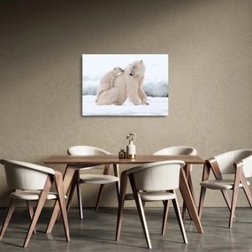 Sklenený obraz - Ľadové medvede (70x50 cm)