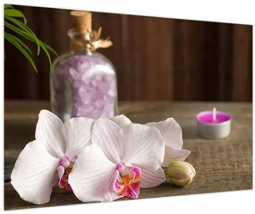 Obraz - Sviečka a orchidey (90x60 cm)