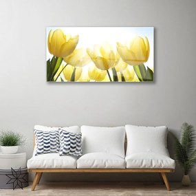 Skleneny obraz Tulipány kvety lúče 100x50 cm