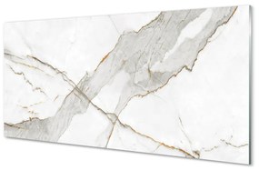 Obraz plexi Marble kameň škvrny 100x50 cm