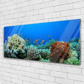 Obraz plexi Koralový útes príroda 125x50 cm