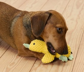 Plyšová hračka pre psy »Kleine Ente«