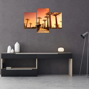 Obraz - Západ slnka v uličke Baobab (90x60 cm)