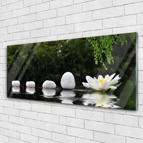 Obraz na akrylátovom skle Kamene kvet umenie 125x50 cm