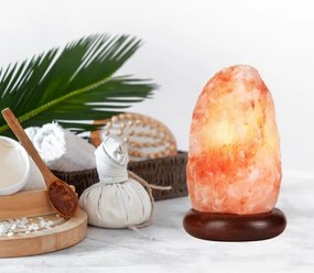 Soľná lampa SALLY 1xE14/25W/230V