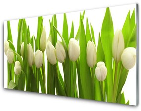 Obraz na skle Tulipány kvety rastlina 100x50 cm