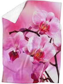 Deka Orchidea (Rozmer: 150 x 120 cm, Podšitie baránkom: ÁNO)