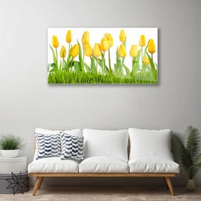 Obraz na akrylátovom skle Tulipány 100x50 cm