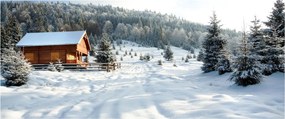 Obraz - Horská chata (120x50 cm)