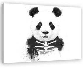 Gario Obraz na plátne Kostra medveďa pandy - Rykker Rozmery: 60 x 40 cm