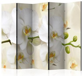 Artgeist Paraván - Orchid Branch [Room Dividers]