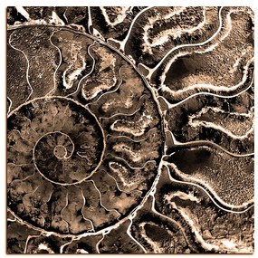Obraz na plátne - Textúra fosílie - štvorec 3174FA (80x80 cm)