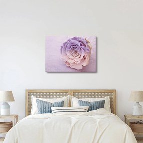 Obraz detailu kvetu ruže (70x50 cm)