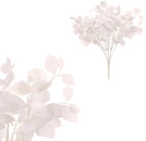 Súprava Trs s peniazkovými lístkami, 2 ks, biela, 39 cm