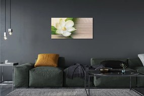Obraz canvas biela magnólia 125x50 cm