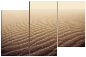 Obraz na plátne - Piesok v púšti 1127D (105x70 cm)