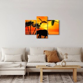 Obraz - papagáje a slony (90x60 cm)