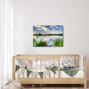 Obraz jazera s tŕstím (70x50 cm)