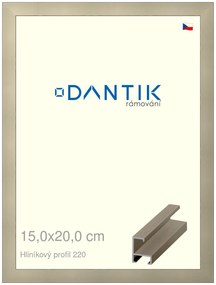 DANTIK rám na obraz 15x20 | ALU champagne (Sklo Čiré)