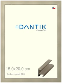 DANTIK rám na obraz 15x20 | ALU champagne (Sklo Čiré)