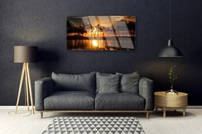 Obraz na skle Stromy slnko krajina 120x60 cm