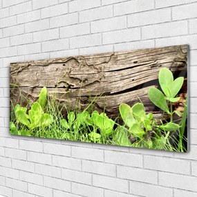 Obraz plexi Tráva listy kvety 125x50 cm