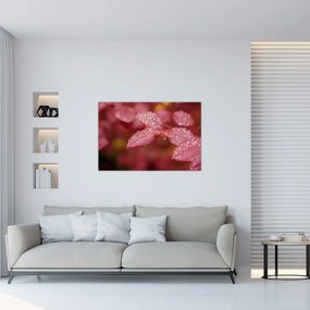 Obraz - Makro snímka lístka (90x60 cm)