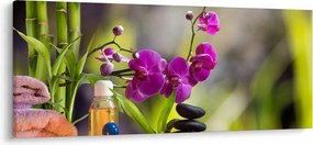 Obraz - spa and stones (120x50 cm)