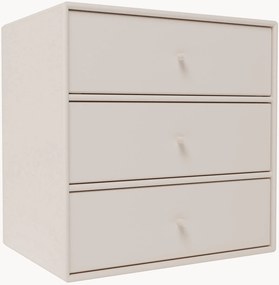 Modul Mini 1007
