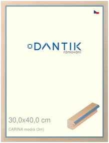 DANTIK rám na obraz 30x40 | CARINA modrá (Plexi Čiré)