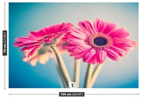 Fototapeta Vliesová Ružové kvety 208x146 cm