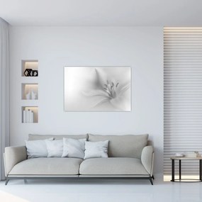 Obraz - Jemná ľalia (90x60 cm)