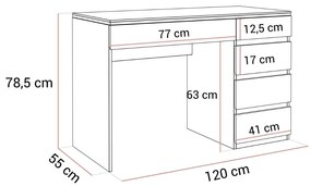 PISACÍ STÔL NESSIE BIELY LESK + STRIEBORNÝ 120 cm