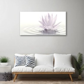 Obraz na akrylátovom skle Kvet voda umenie 100x50 cm