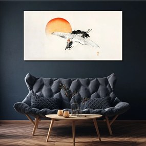 Obraz Canvas Zvieracie vták slnko