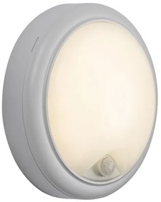 Rabalux 77029 - LED Vonkajšie nástenné svietidlo so senzorom LED/15W/230V IP54