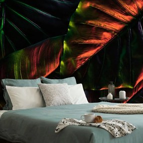 Samolepiaca tapeta tropické palmové listy - 150x100