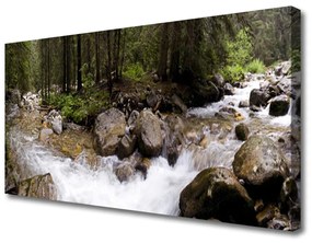 Obraz Canvas Les rieka vodopády 120x60 cm