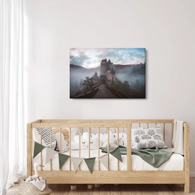 Obraz - Eltz Castle, Nemecko (90x60 cm)