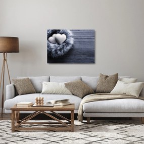Sklenený obraz - Hniezdo lásky (70x50 cm)