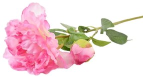 Paeonia 59cm ružová A2010570