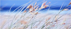 Obraz - Vánok (120x50 cm)